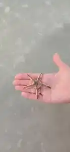 Ramada & Suites by Wyndham Ajman - 64