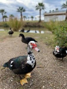 Selectum Family Resort Side - 86