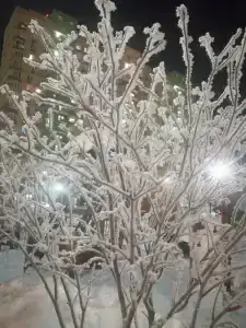 TUI MAGIC LIFE Kalawy - 58