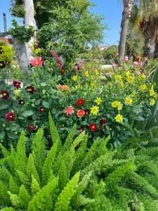 Club Tuana Fethiye - All Inclusive - 93