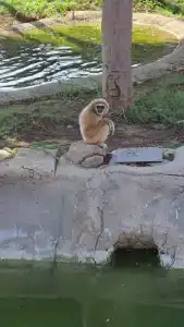 Ibis One Central - 25