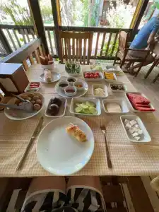 Caretta Caretta Pension - 74