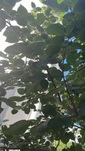 Mandarin Resort & Spa - 95