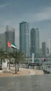 Lavender Sharjah - 87