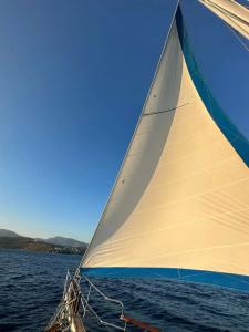 Riva Bodrum Resort- Adult Only +16 - 59