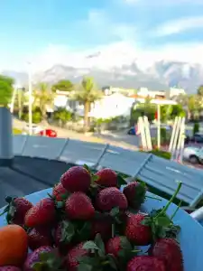 Viking Nona Beach - 66