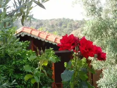 Ugur Pansiyon Bungalows - 14