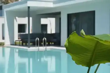 Paloma Finesse Side - 13