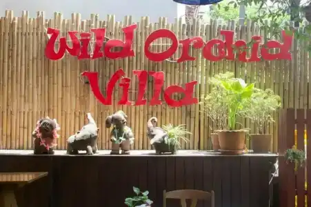 Wild Orchid Villa - 8