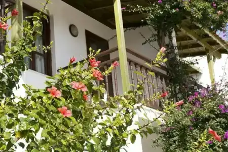 Delfi Spa & Wellness Center - 23