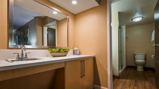 Best Western Plus South Coast Inn - 97