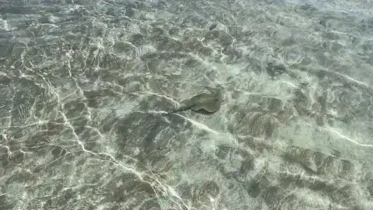 Baron Palms Adults Friendly Only 16 years plus Boutique Style - 94