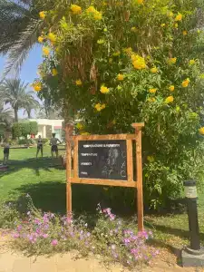 Labranda Royal Makadi - 77
