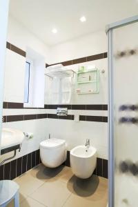 Panama Majestic - 78