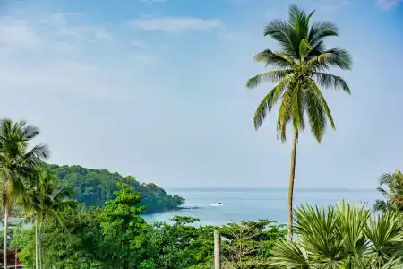 The Pelican Krabi - 14