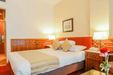 Golden Tulip Flamenco Cairo - 87