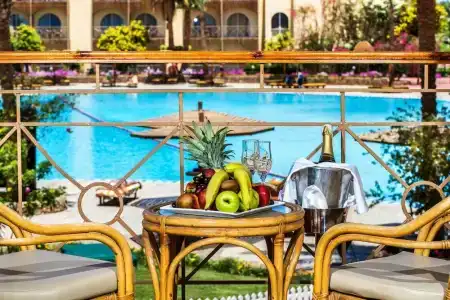 Desert Rose Resort - 82