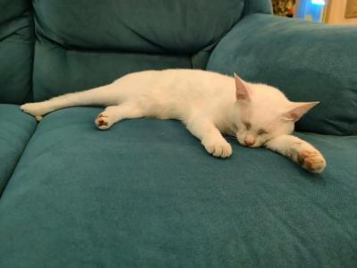 Mert Seaside (Adult only +16) - 22