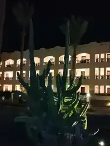 Ivy Cyrene Island Resort - 87