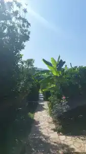 Ugur Pansiyon Bungalows - 18