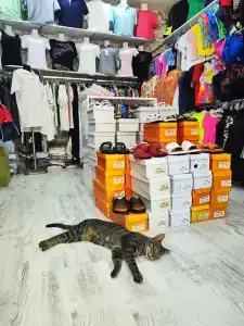 Alba Resort - Ultra All Inclusive - 76