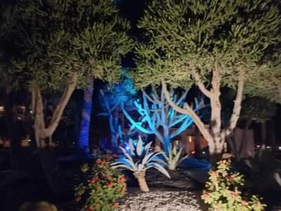 Nubian Village, Families and Couples only - 72