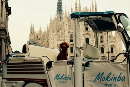 Mokinbas Baviera - 61