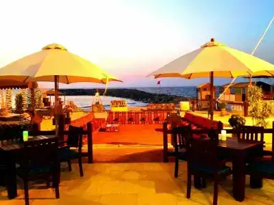 Coral Beach Resort Sharjah - 12