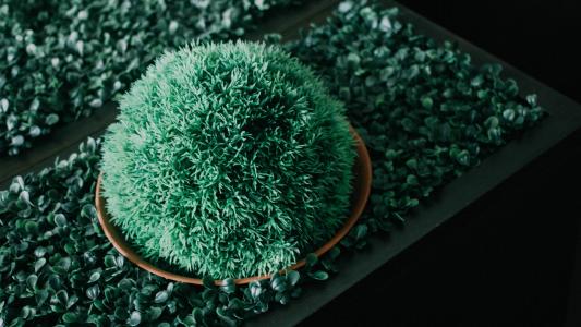 Maison de Cheer - 38