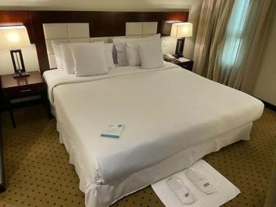 Barceló Cairo Pyramids - 20