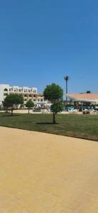Old Palace Resort Sahl Hasheesh - 74