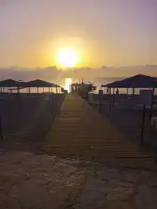 Queen's Park Le Jardin - 6