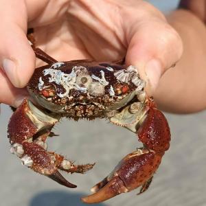 Ajman Saray, a Luxury Collection Resort, Ajman - 82