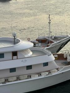 Queen Elizabeth 2 - 83