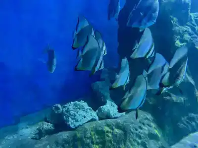 Mercure Hurghada - 45