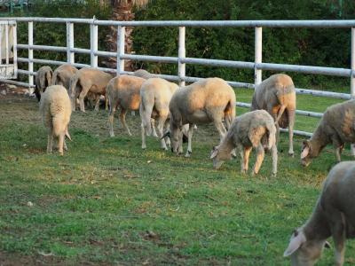 Club Tuana Fethiye - All Inclusive - 50