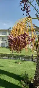 Amarina Abu Soma Resort & Aquapark - 21