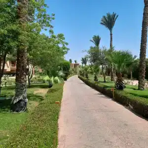 Parrotel Lagoon Waterpark Resort - 27