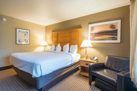 Best Western Plus GranTree Inn - 79