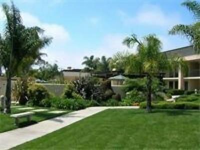 Best Western Plus South Coast Inn - 72