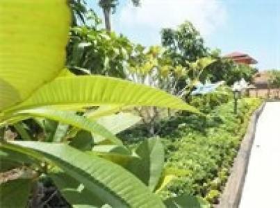 Chomview Resort - 71