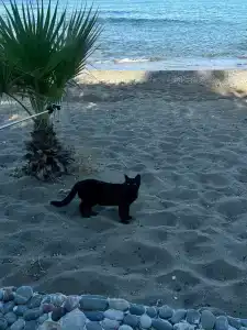 Flora Garden BEACH - Couples Concept - Adults over 16 Only - 24