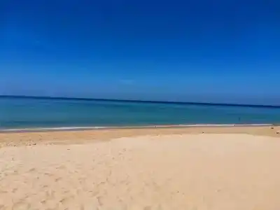 Naithon Beach Mansion - 17