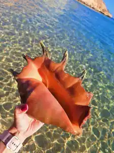 Continental Plaza Beach Resort - 100