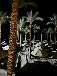 The Grand Sharm El Sheikh - 85