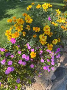 Pickalbatros Royal Grand Sharm - Adults Friendly 16 Years Plus - 82