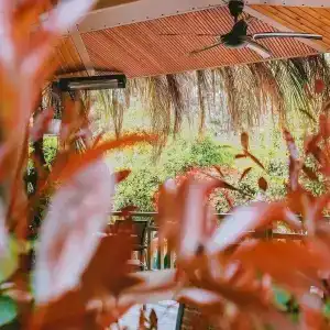 Kimera Lounge Boutique & Spa - 78