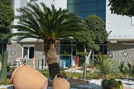 Onkel Rada Apart - 60