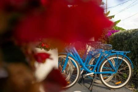 Banana Bay Resort & Marina - 45