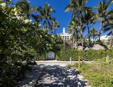 The Palms & Spa - 27